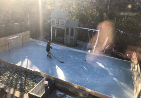 Backyard hockey rinks